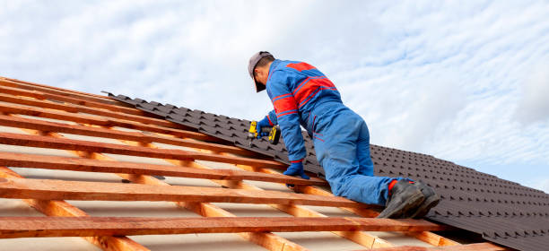 Best Asphalt Shingle Roofing  in Archie, MO